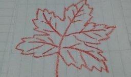 怎样简单画枫叶