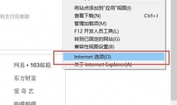 IE浏览器如何开启activex控件？