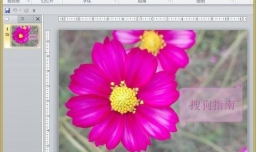 如何设置PPT中动画的播放速度