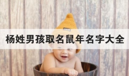杨姓男孩取名鼠年名字大全