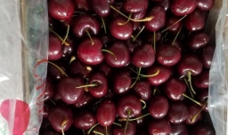 怎样自己在家酿果酒？