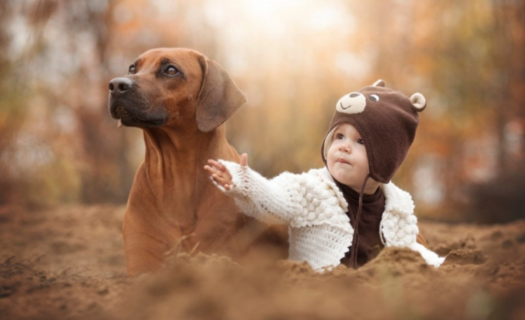 何姓男孩起名大全，何姓男宝宝取名，男孩何姓名字推荐