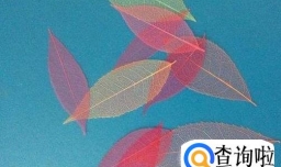 如何制作彩色透明树叶？