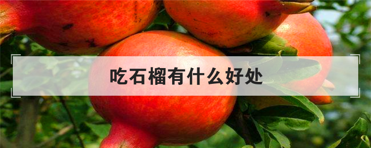 吃石榴有什么好处