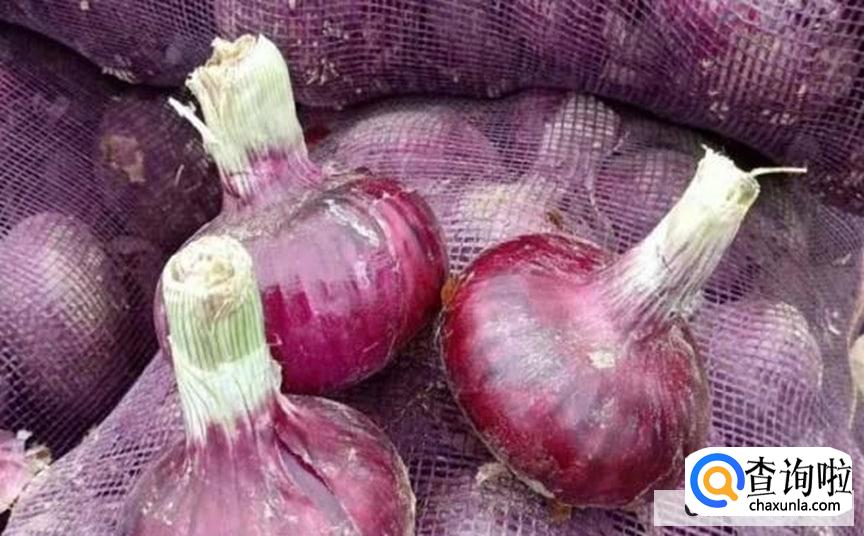 洋葱怎么保存不发芽
