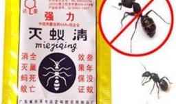 怎样消灭花盆里的蚂蚁