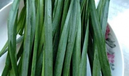 如何制作美味的韭菜鸡蛋饼