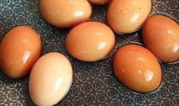 怎样做啤酒卤蛋