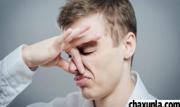 放屁太多可以怎么治疗