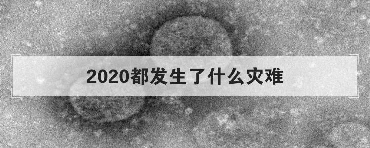 2020都发生了什么灾难