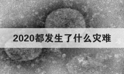 2020都发生了什么灾难