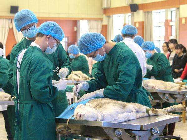 备皮是什么意思啊