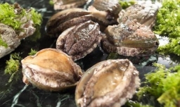 怎样炖美味的鲍鱼汤