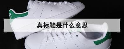 真标鞋是什么意思