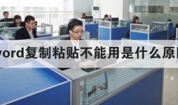 word复制粘贴不能用是什么原因