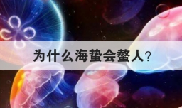 为什么海蛰会螫人