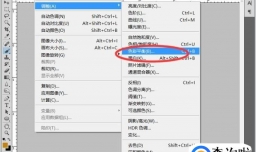 如何使用photoshop调整图片颜色