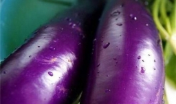 茄子怎么去皮茄子如何去皮茄子去皮