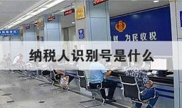 纳税人识别号是什么