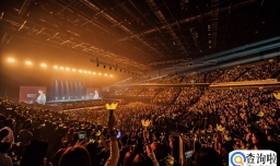 2023澳门今晚开什么（2023澳门每日开什么都可以这样查询）