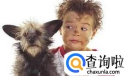 孩子总是虐待小动物应该怎么办？