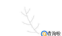 简笔画怎么画含羞草？