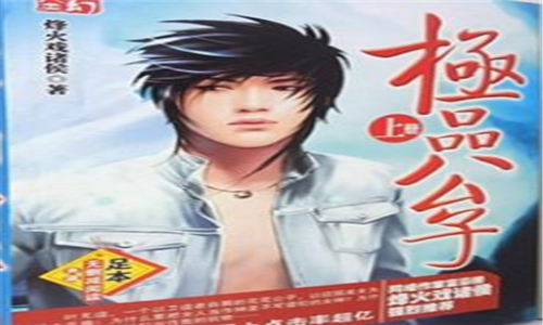 十大巅峰种马小说排行榜