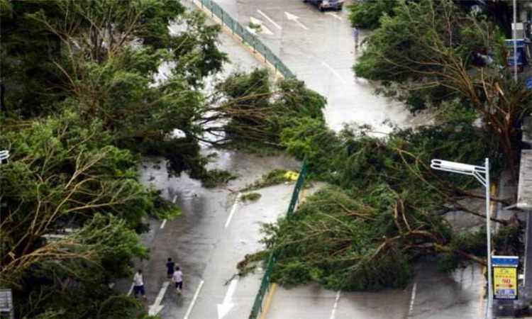 台风和飓风的不同点在于