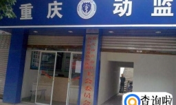 狗狗托运需要办理什么证件