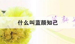 什么叫蓝颜知己