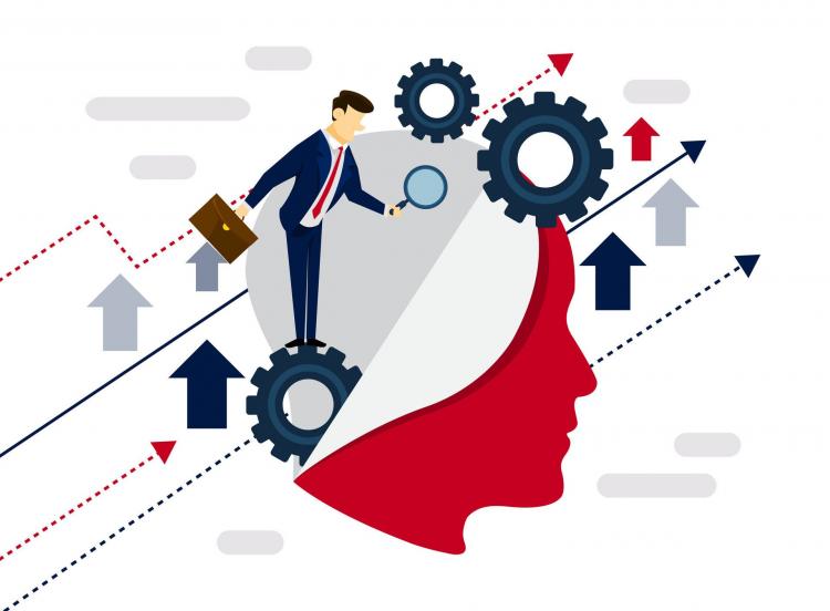 智力的核心是什么