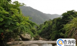 在野外迷路怎么识别方向？