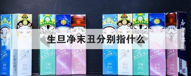 生旦净末丑分别指什么