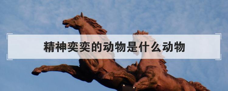 精神奕奕的动物是什么动物