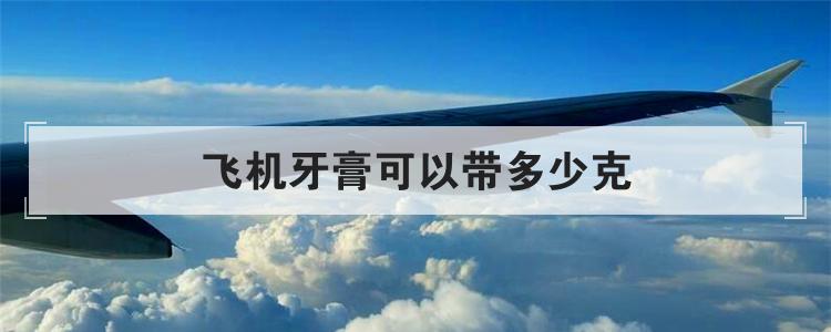 飞机牙膏可以带多少克