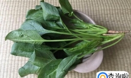 6个月宝宝辅食-菠菜泥米糊制作