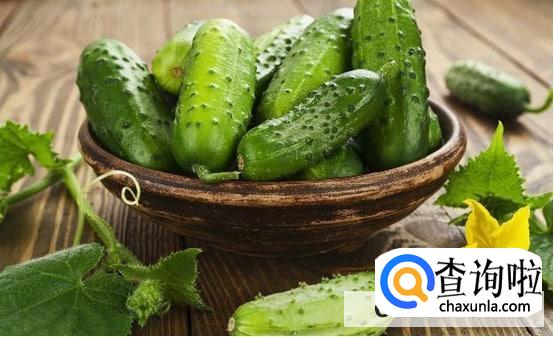 黄瓜一米高了结果的时间