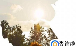 对生活很迷茫，该怎么办？