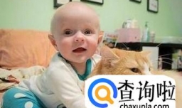 宝宝适合养什么样的宠物？