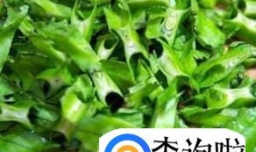 四角豆的两种做法