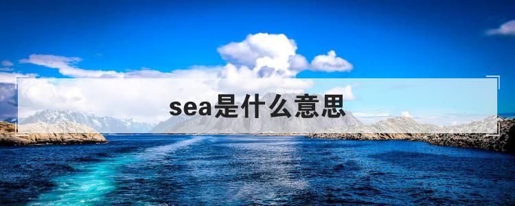 sea是什么意思