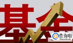 场内货币基金收益排行