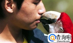 清明节小长假外出踏青要注意什么？