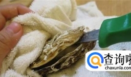 生蚝怎么打开？