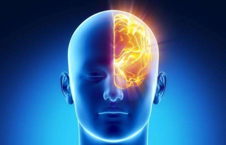 左脑右脑分别控制什么