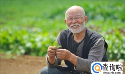 退休之后可以做哪些事情