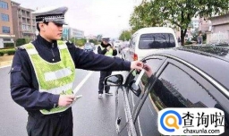 违章多久才能查到