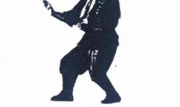 形意拳和八极拳哪个凶