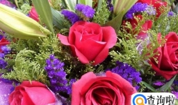 公司怎么给员工过三八妇女节效果最好？