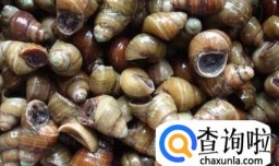 螺丝怎么洗最干净